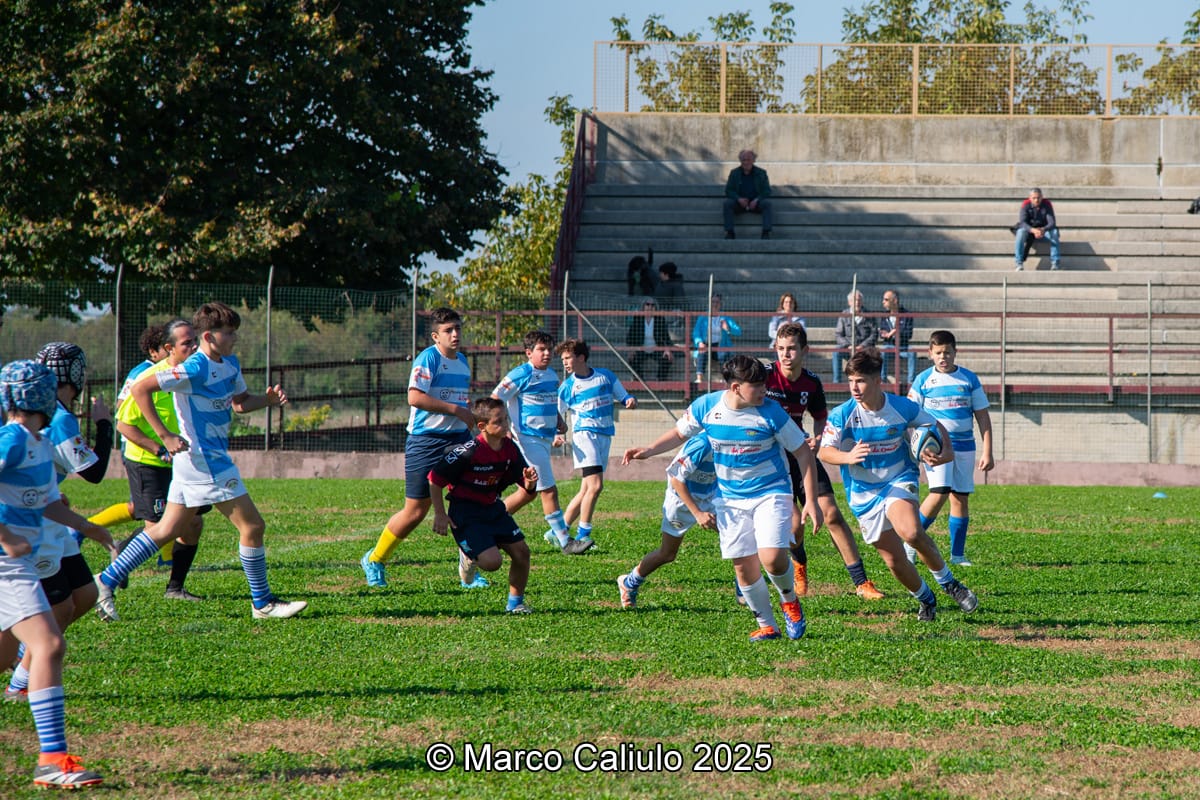 WhatsApp Image 2025-06-19 at 11.04.41