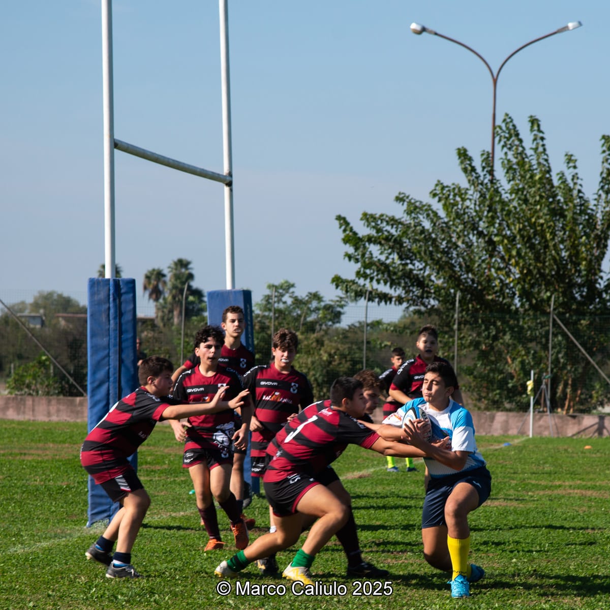 WhatsApp Image 2025-06-19 at 11.04.42