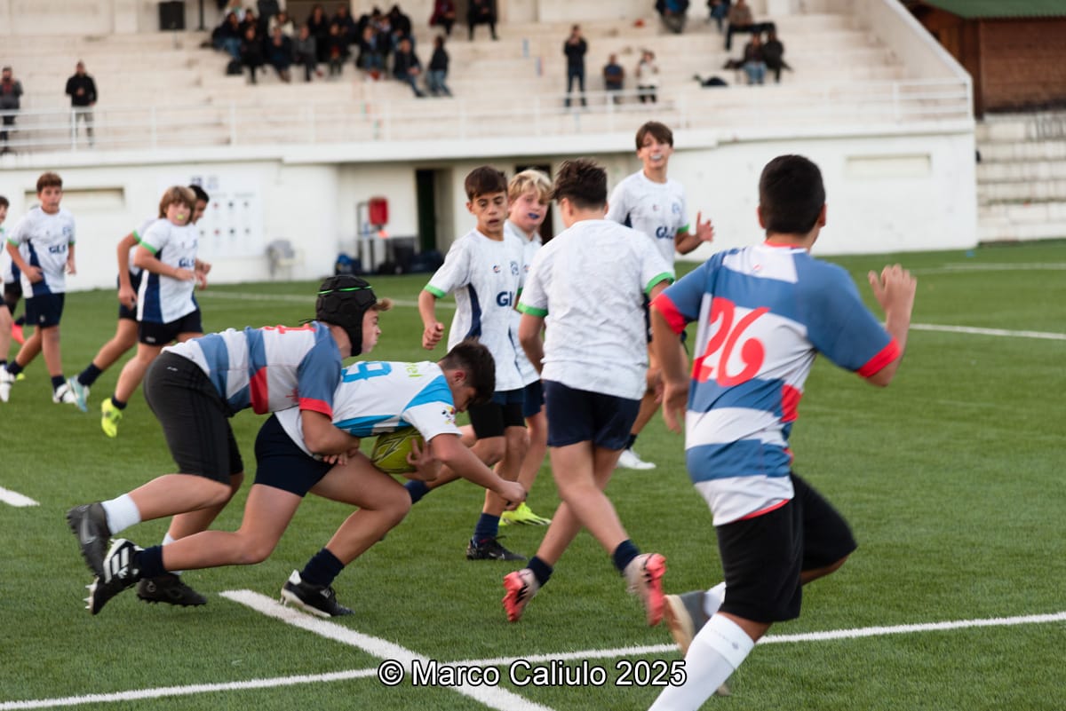 WhatsApp Image 2025-06-19 at 11.04.44 (2)