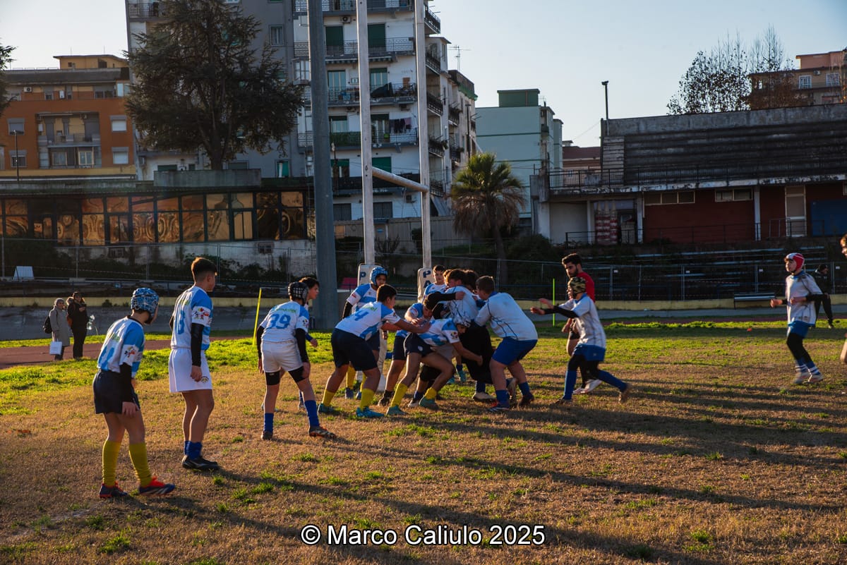 WhatsApp Image 2025-06-19 at 11.04.46 (3)