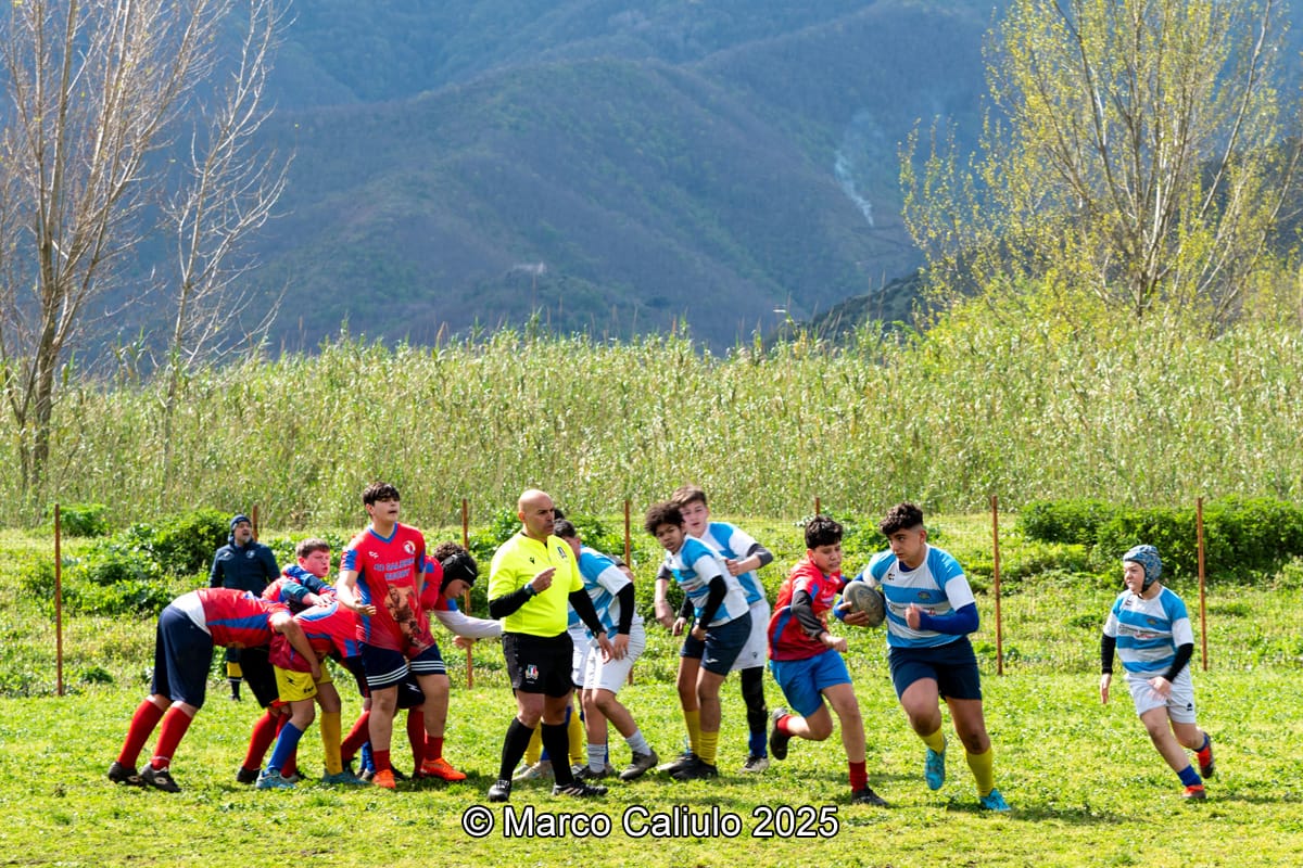 WhatsApp Image 2025-06-19 at 11.05.52