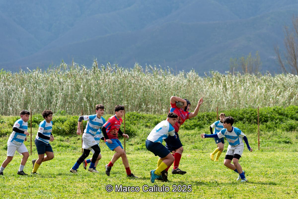 WhatsApp Image 2025-06-19 at 11.05.53 (2)