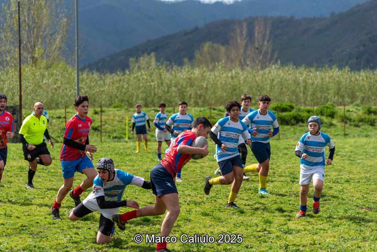 WhatsApp Image 2025-06-19 at 11.05.53