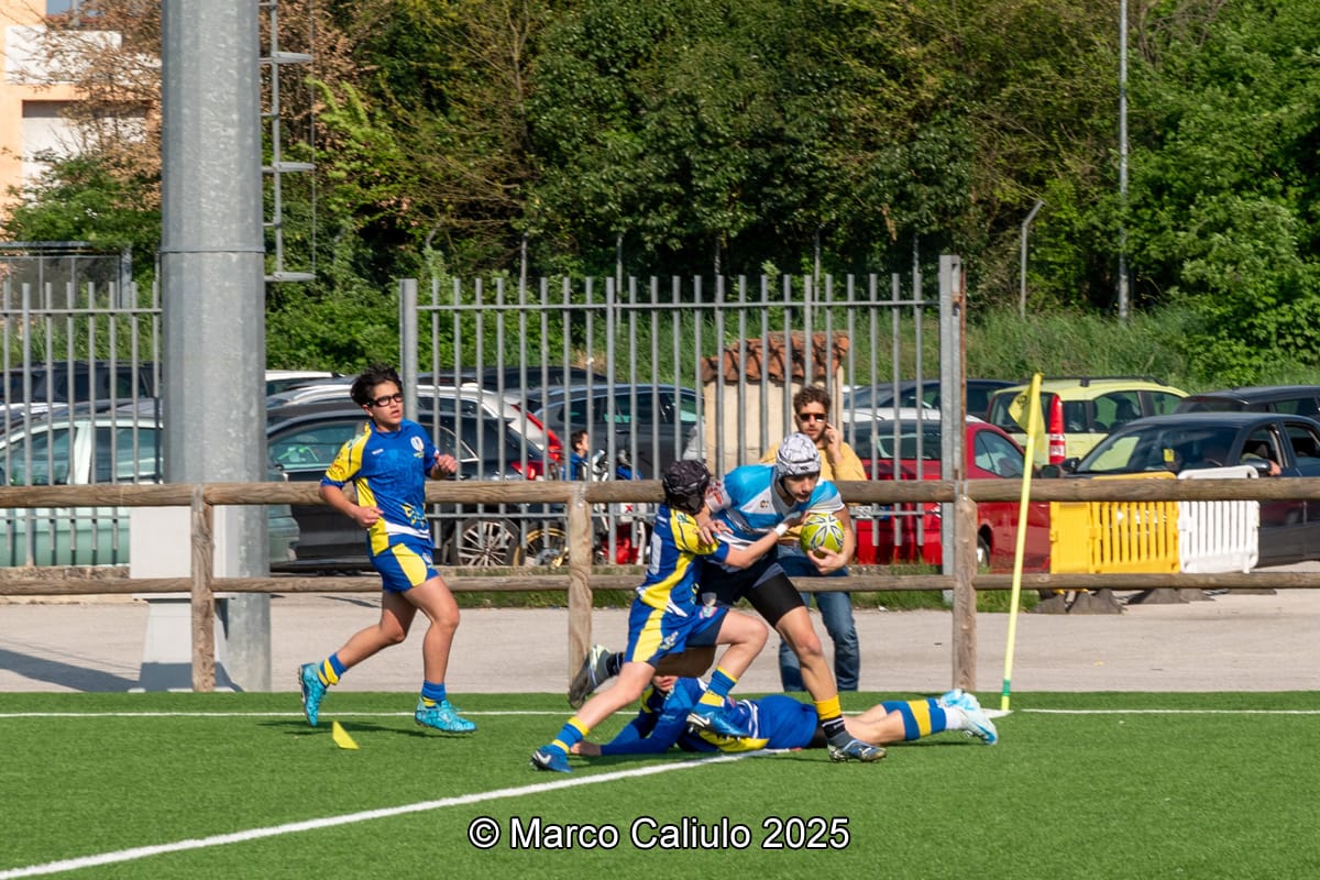 WhatsApp Image 2025-06-19 at 11.05.54