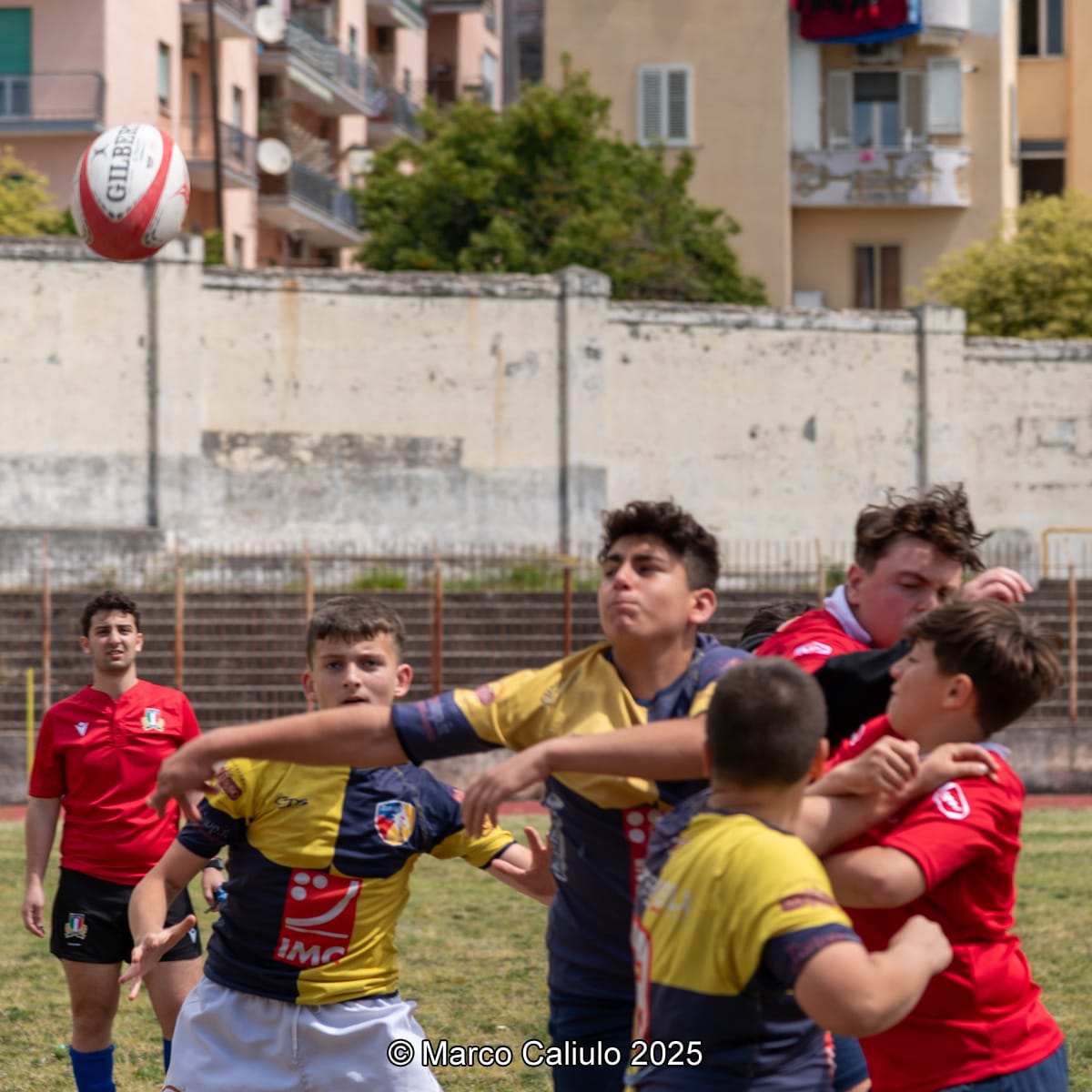 WhatsApp Image 2025-06-19 at 12.55.25 (2)