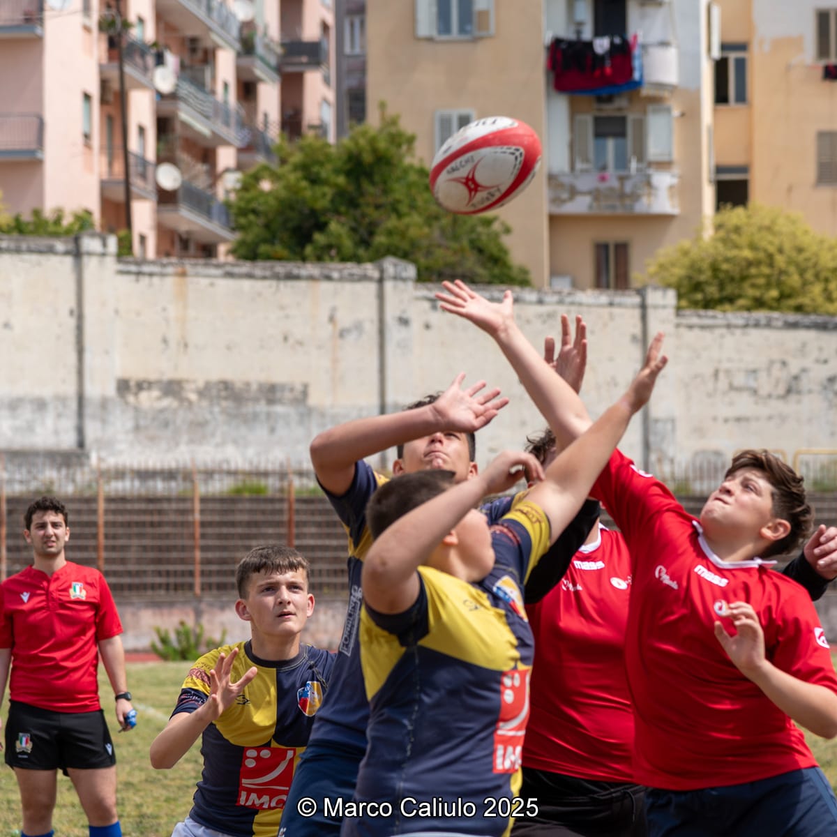 WhatsApp Image 2025-06-19 at 12.55.26